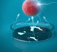 杭州办试管婴儿多少钱？杭州附近的试管医院